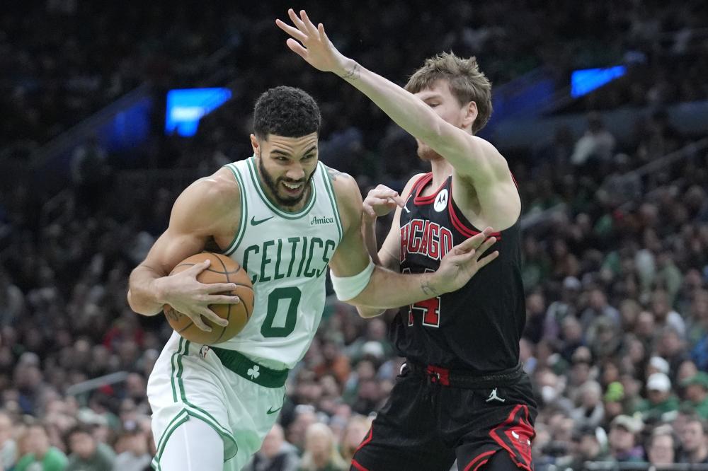 灰熊等队伍 灰熊等队伍